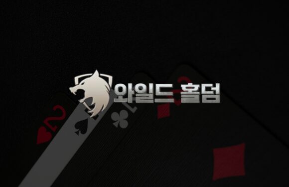 글로벌 표준에 맞춘 와일드홀덤 카지노API 시스템