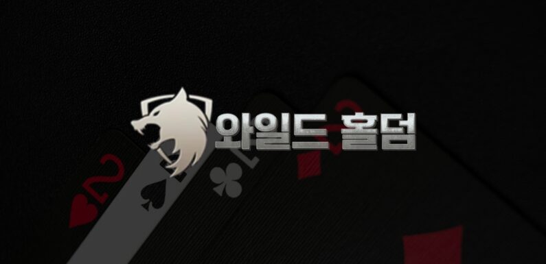 글로벌 표준에 맞춘 와일드홀덤 카지노API 시스템